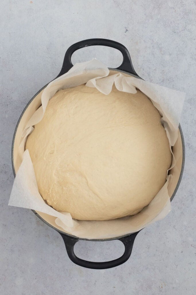 A fully proved loaf ready for baking.