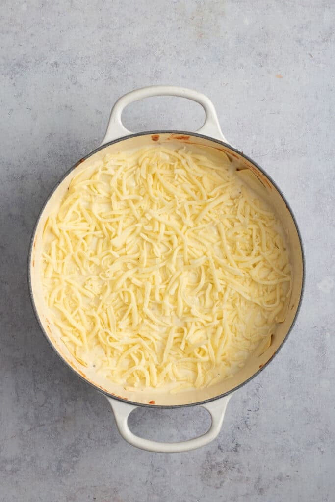 The lasagna finished with mozzarella cheese ready to be baked in the oven.