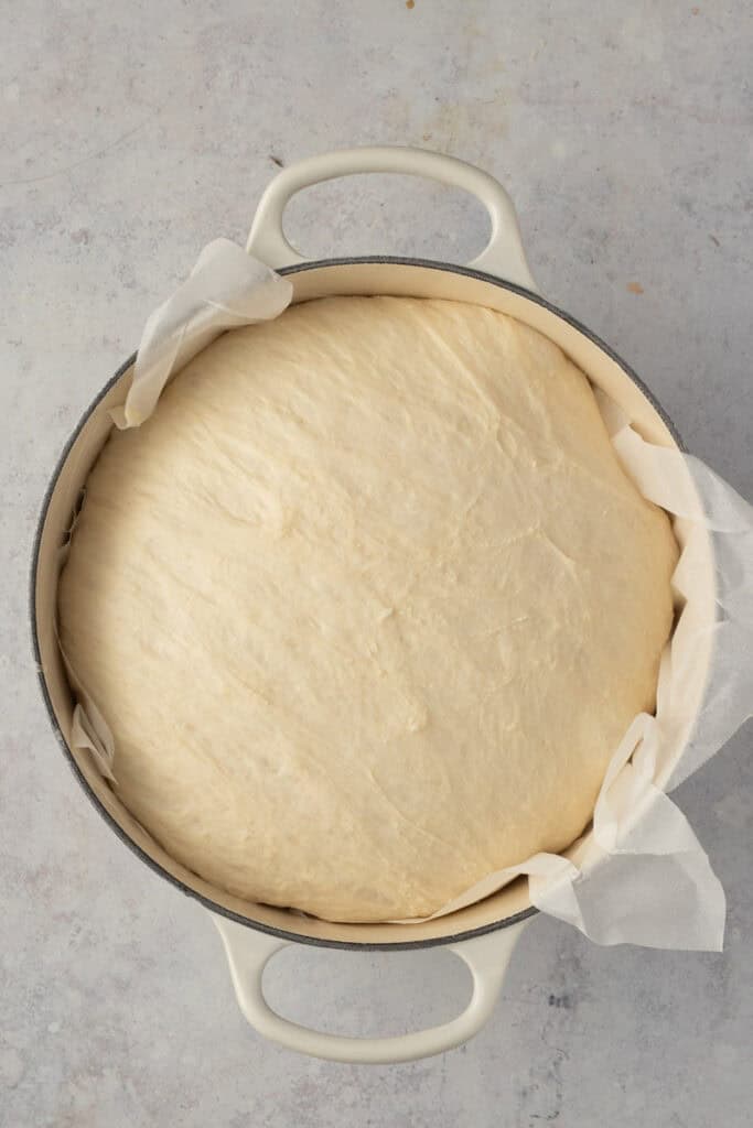 A fully proved no knead loaf in a Dutch oven. 