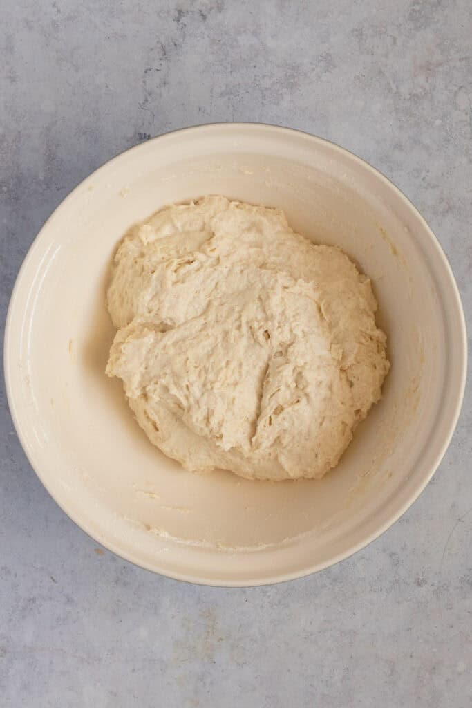 The wet, shaggy dough in a bowl.
